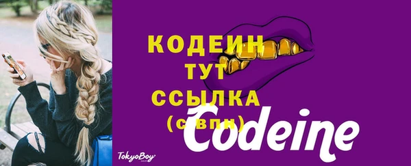 дживик Протвино